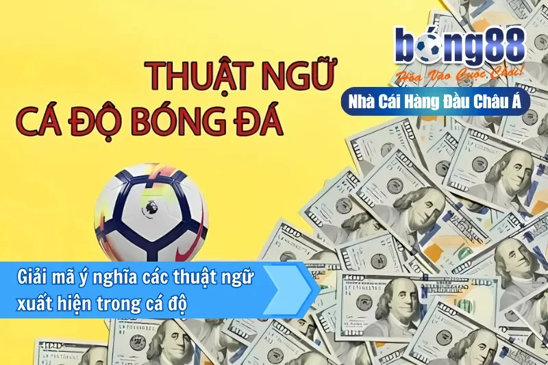 Kèo Chấp Bong88 - Phát Tài Với Tỷ Lệ Ưu Đãi Cực Cao 3 Giải mã ý nghĩa các thuật ngữ xuất hiện trong cá độ